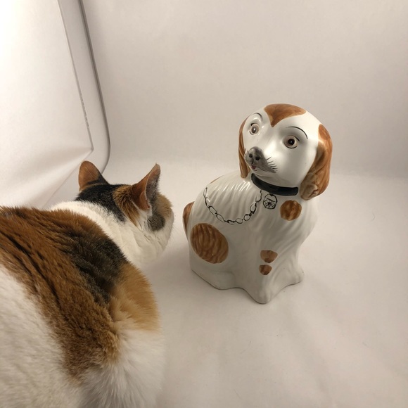 🐈🐾 Follow Game 🐈🐾 Like to play tag & share - Picture 5 of 10